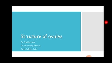 Structure of ovule ( Practical) B. SC. II year by Dr Sulekha Joshi