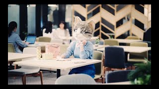 【PAUL & JOE ACCESSOIRES】猫のあるある話 | 猫は、爪のお手入れが大切。編