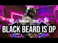 Black Beard is OP | Theme Park Full Game