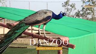 BAHRIA TOWN DANZOO REAL SIDE VIDEO