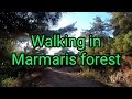 Marmaris forest, mountains