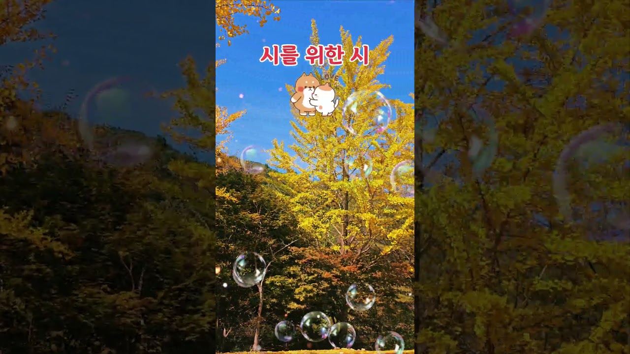 Autumn Foliage