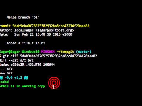 How to view changes in working copy and commit in git