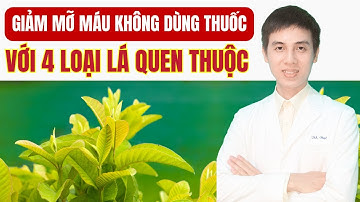 Giảm Mỡ Máu Không Cần Dùng Thuốc Với 4 Loại Lá Quen Thuộc | Dược sĩ Đạt