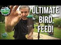 How to attract wild birds to your garden | TA Outdoors