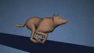 wolf run 5