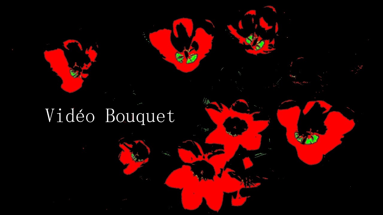 Vidéo Bouquet