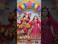 Radhe Radhe 🥀 #radharani #radhakrishna #radhakrishnastatus #radha #trending