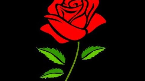 Intro Contest Winners!!!! || Read Pinned Comment || Confetti Gaming