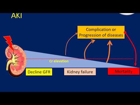 Acute Kidney Injury: Definition, Epidemiology  and Etiology