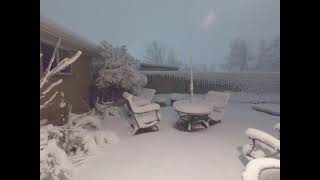 Snow Fall 20210315