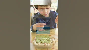 Почему арахис продлевает жизнь