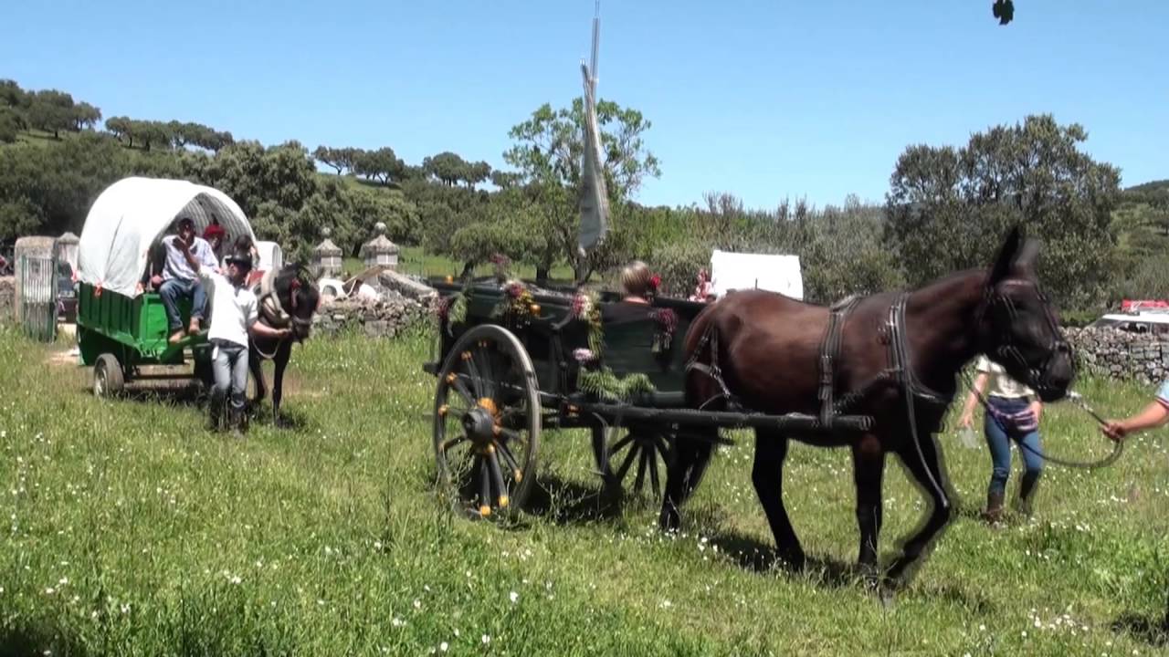 2º  PARTE  EL CAMINO DE BURGUILLOS DEL CERRO 2.016