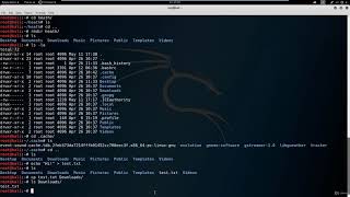 2  Navigating the File System