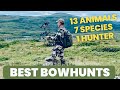 Best bowhunts 20202023  bison moose whitetail elk turkey hogs  brown bear coastal grizzly