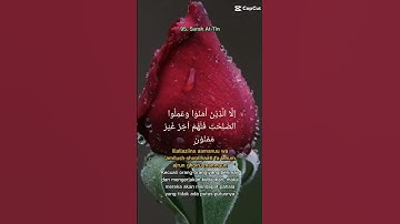 What is easy from Surat At-Tin.          ما تيسر من سورة التين