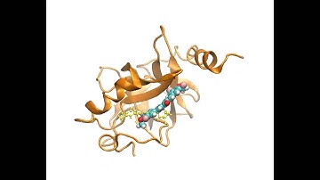 Simulation of protein-compound interaction