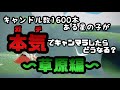 【sky 星を紡ぐ子どもたち】キャンドル１６００本ある星の子が本気でキャンマラしたらどうなる？～草原編～