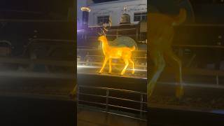 #explore #india #travel #vlog #train #vijayawada #ramayan #deer #golden #awesome #night #view #god