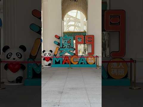#welcome #viralvideo #casino #vegas #explore #explorepage #exploremore #flamengo