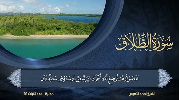 65 | سورة الطلاق | الشيخ أحمد النفيس