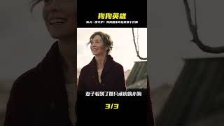 淚崩!這條狗奉獻一生,奇跡拯救幾十個孩子,它是我見過最棒的家人 #电影 #电影解说 #影视 #影视解说 #剧情