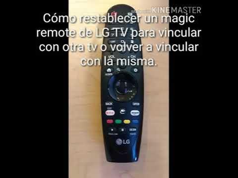 Venta de Mando Magic Televisor LG AKB75635305 Online