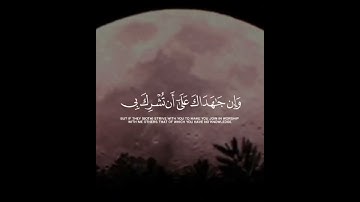 القارئ محمد الفقيه😴❤️ | ووصينا الإنسان بوالديه | قرآن كريم بصوت جميل جدا | حالات واتس اب دينية قصيرة