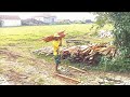 Proses membuat pintu kayu mahoni