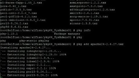 how to install packet offline using pkg on freebsd