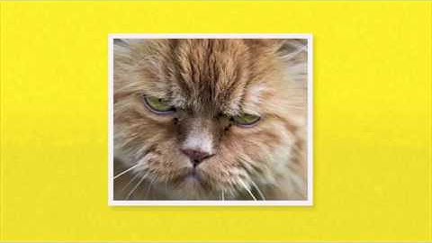 Are You a Persuader or a Manipulator?