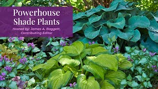 Powerhouse Shade Plants for the Garden | Garden Gate Seminar Series