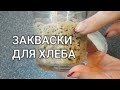 Пшеничная и ржаная закваска из муки. Полезный хлеб на закваске без дрожжей. Хлебстори