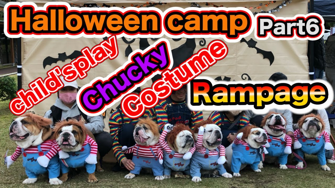 dog【Bulldog gathering】”Halloween Chucky costume! Halloween camp 2 nights 3 days! in Toyama