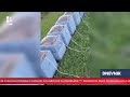 RTV HB | Hoće li biti nestašice domaćeg meda?