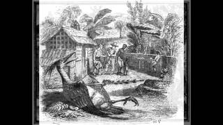 Loiseau Blesse - Denis Gougeon