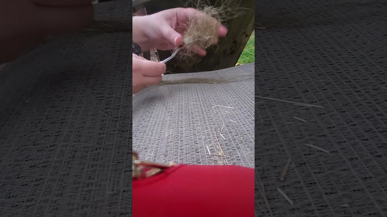 Hackling flax with a fork