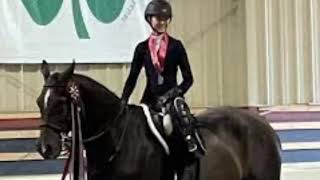 Hannah Serfass Accident, Ride for Hannah Equestrian, Died after Accident at Fox Lea Farm, Obituary