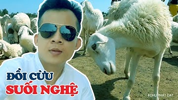 Tham quan đồi cừu Suối Nghệ - địa điểm nổi tiếng khi đến Vũng Tàu / Chu Phat Dat
