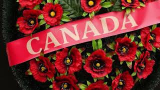 Remembrance Day Nov 11 Lest we Forget Remembrance Day 2025 #remembranceday #poppies #lestweforget