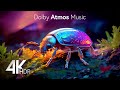 Awful Colors 4K HDR | 432Hz | Dolby Vision | OLED Demo | 5.1 Surround Demo