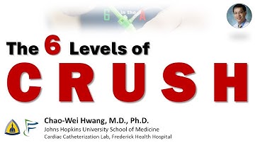 De 6 niveaus van crush-bifurcatiestenting