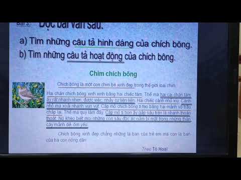 Môn Tiếng việt 2 - Tập làm văn Tuần 21