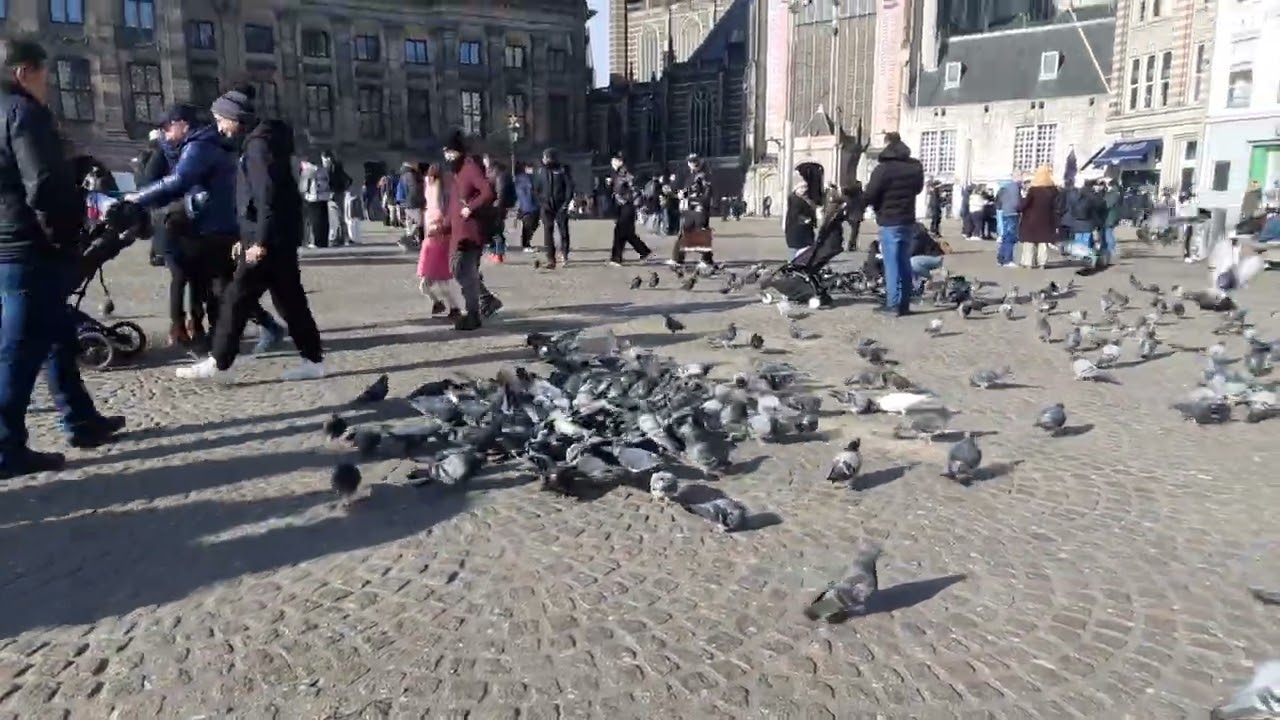WALK WITH ME AT CENTRAL AMSTERDAM