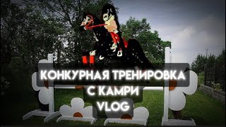 :      wild horse islands roblox   Vlog RRP 