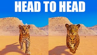 Jaguar vs Amur Leopard A Head to Head Speed Race in Planet Zoo