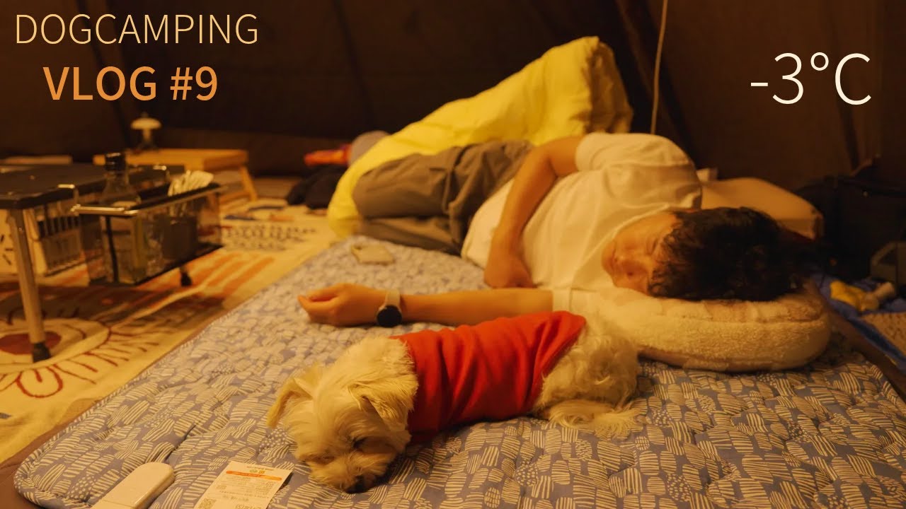 Зима приближается, пора отправляться в поход с собаками в теплую палатку.