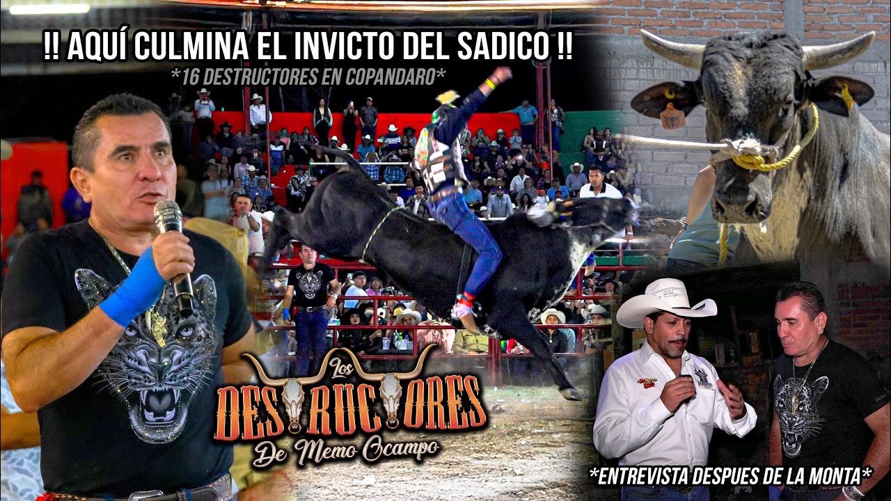 AQUÍ CULMINA EL INVICTO DEL SADICO | ENTREVISTA CON MEMO JR | 16 Destructores En Copandaro Mich 2025