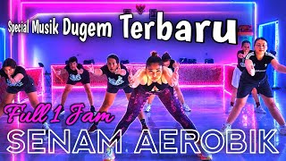 Senam aerobik special musik Dugem terbaru 2026 full 1 jam untuk latihan dirumah @LiaMarliaChannel  