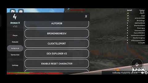 arceus x broken bones script